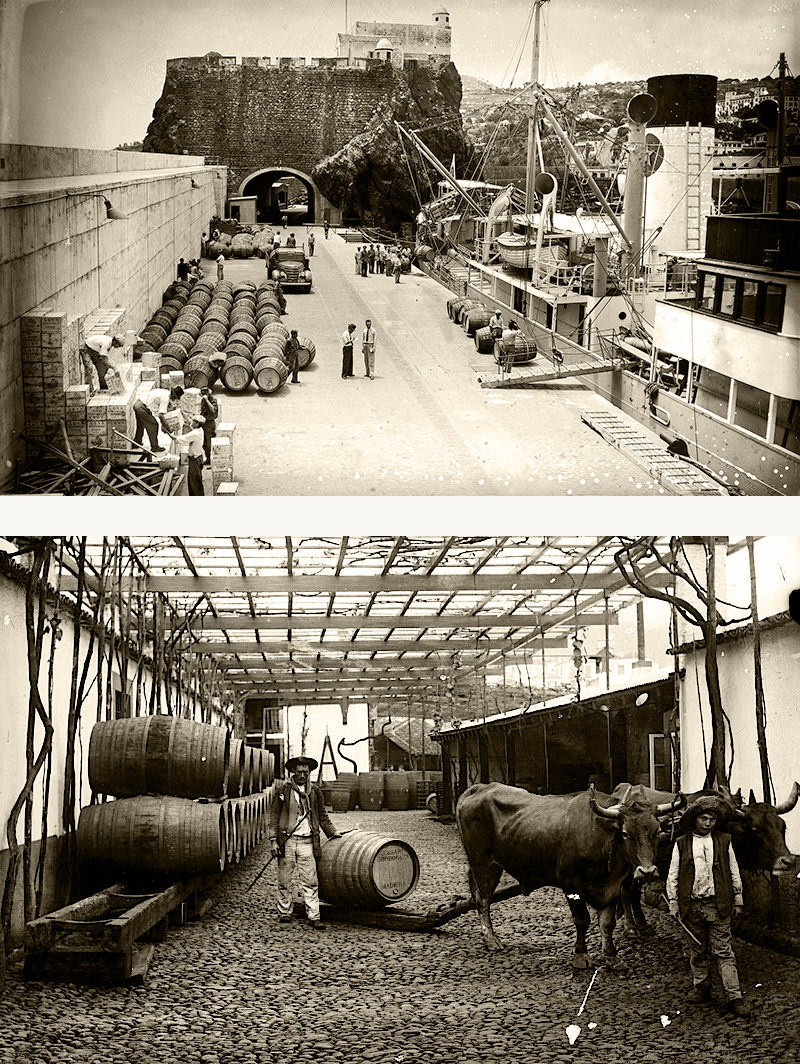 madeira wine casks