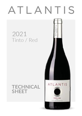 Atlantis Tinto 2021 technical Sheet