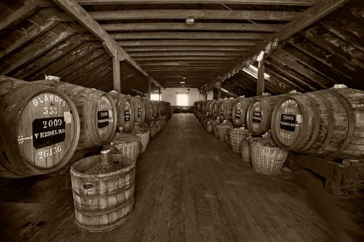 Madeira Wine Company