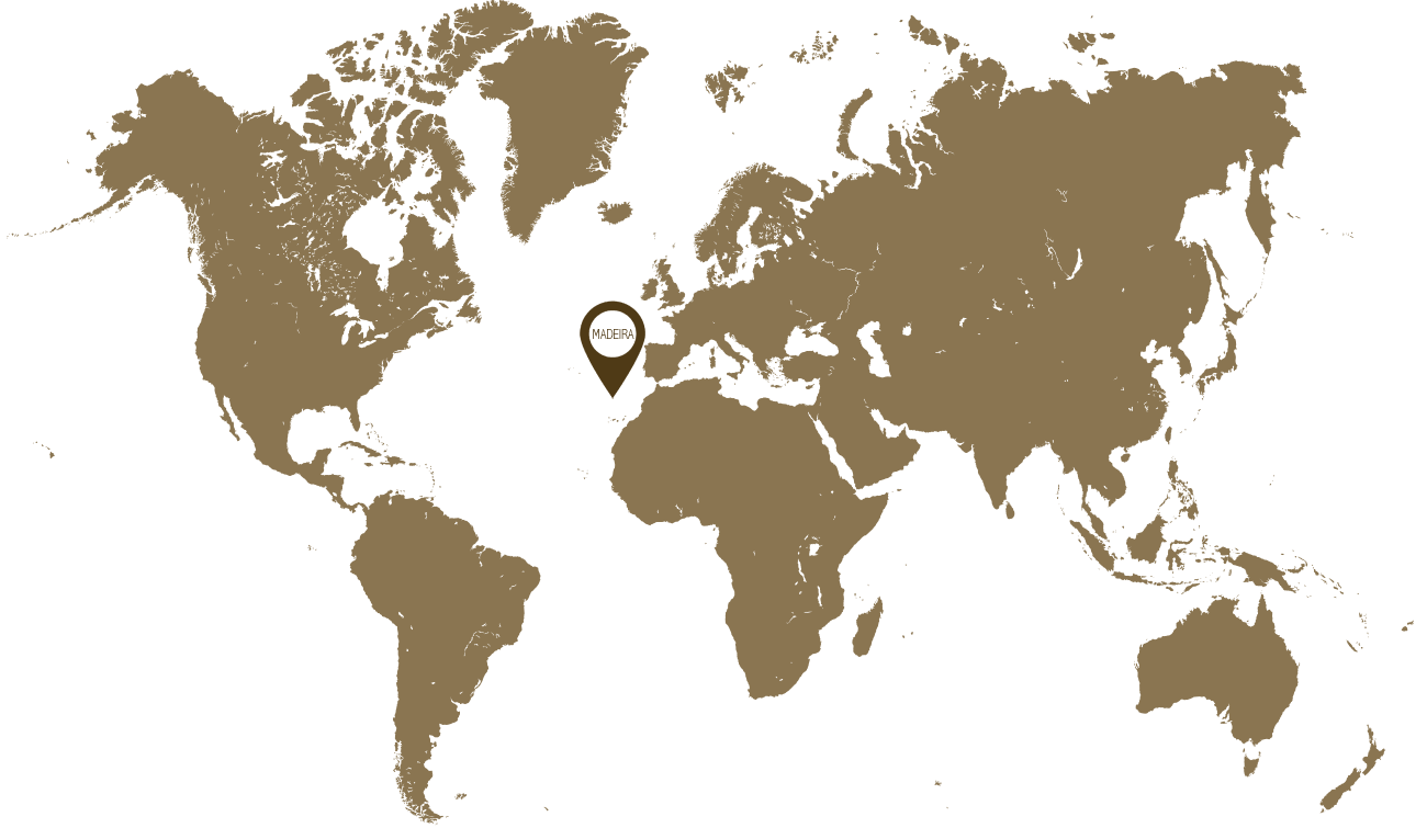 World Map