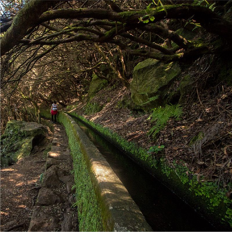 Levada Walk