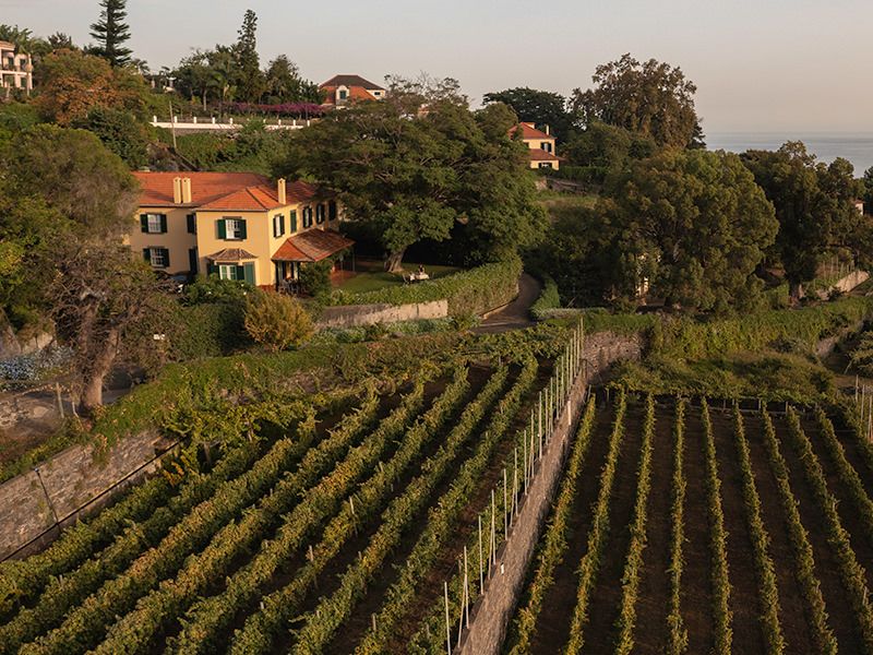 Quinta de Santa Luzia