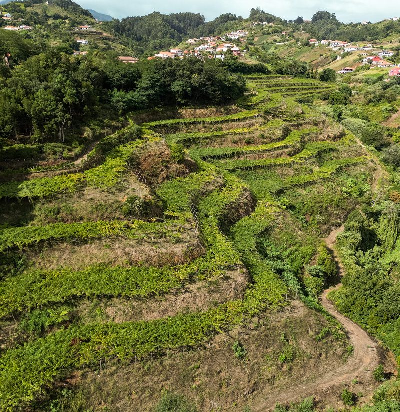 Quinta de São Jorge