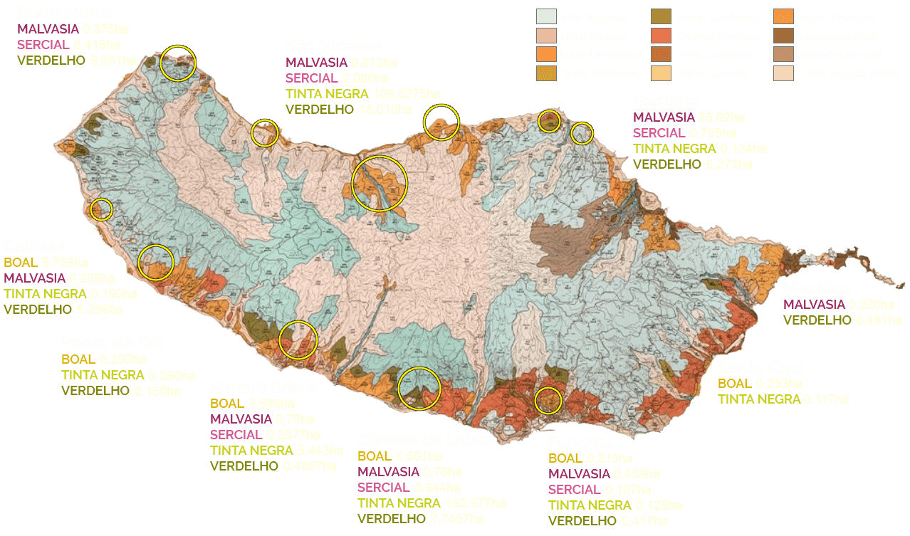 Madeira Wine Map